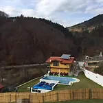 суни транс