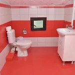 суни транс