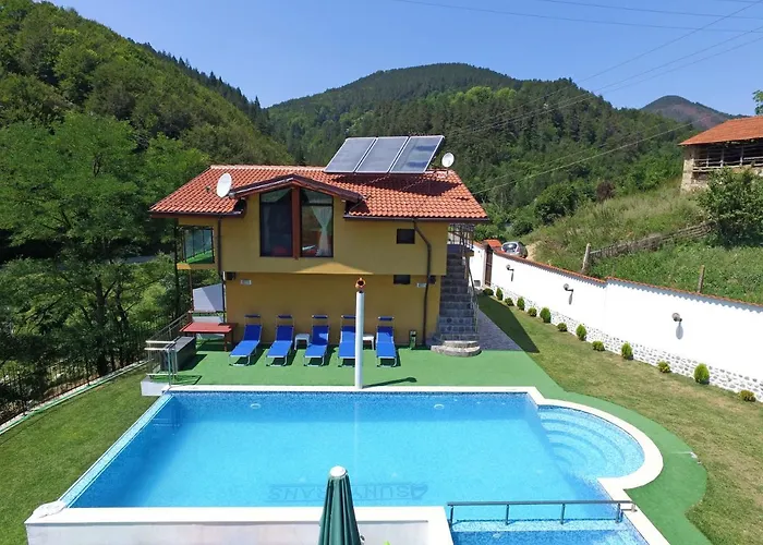 суни транс *