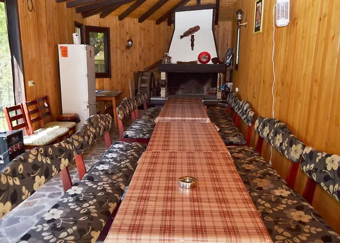 Villa суни транс